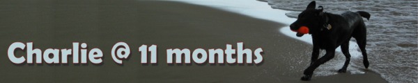 Charlie's 11 month page.