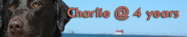 Charlie's 4 year 
page.